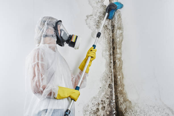 Professional Water damage restoration in Montz, LA